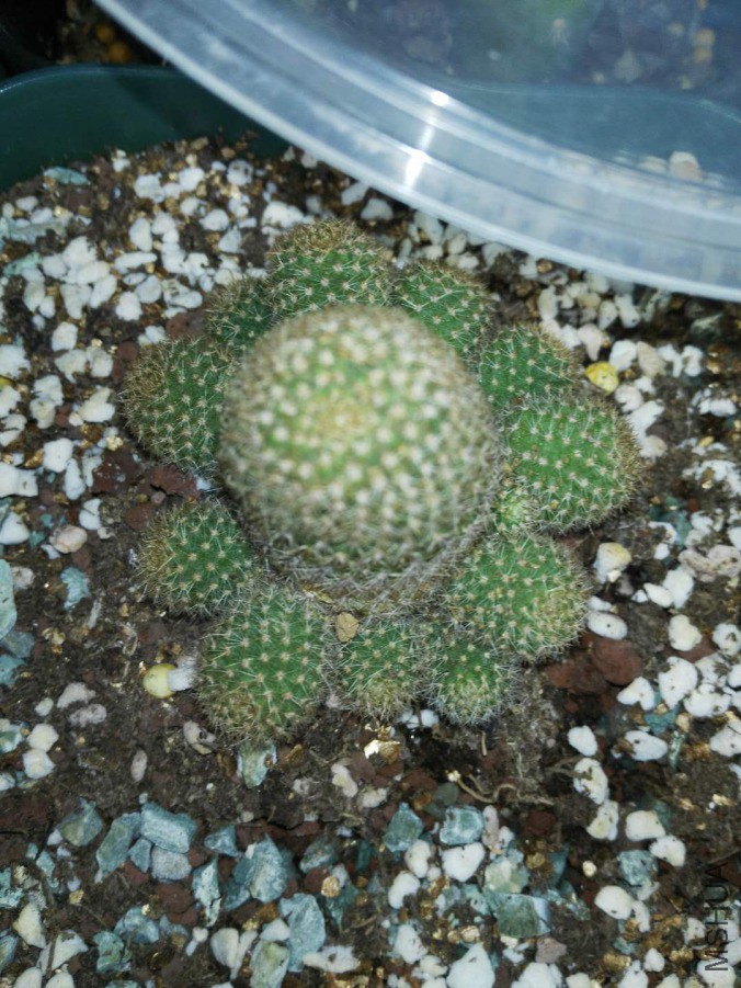 ΢��ͼƬ_201903220905366.jpg