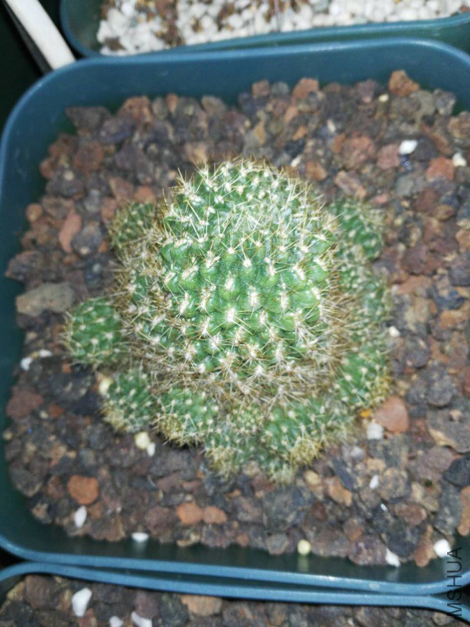 ΢��ͼƬ_201903220905367.jpg