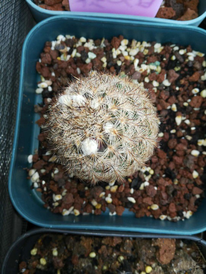 ΢��ͼƬ_2019032209053611.jpg