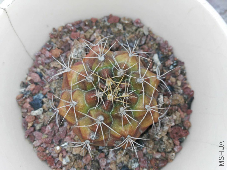 ΢��ͼƬ_2019032209053630.jpg