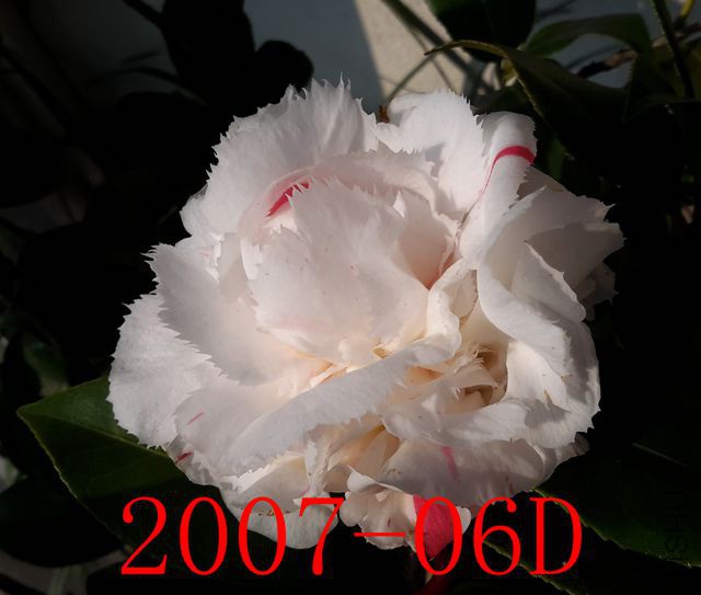 20190320_091146_����.jpg