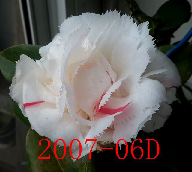 20190322_102000.jpg