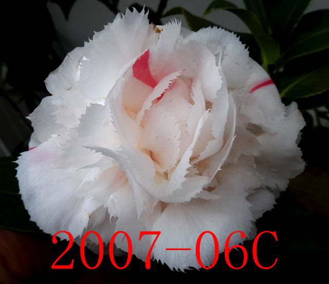 20190321_132953_����.jpg
