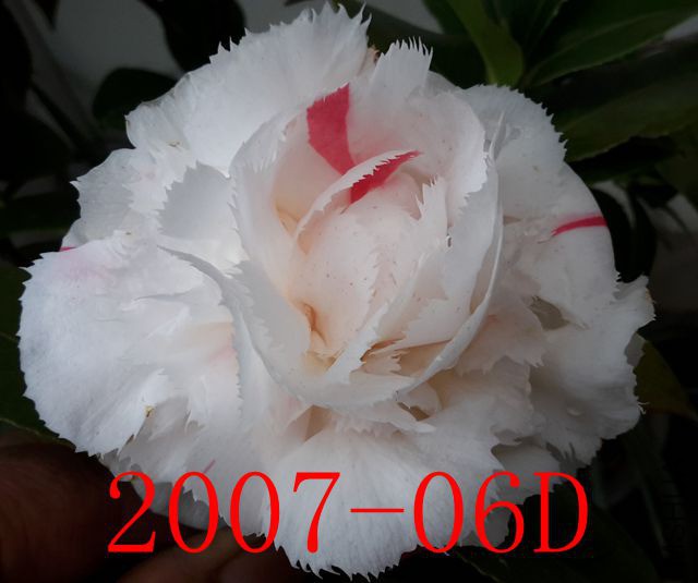 20190321_132945_����.jpg
