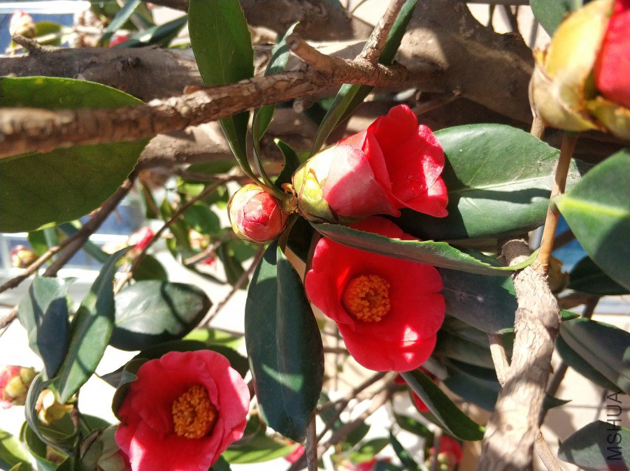 IMG_20190317_085018.jpg