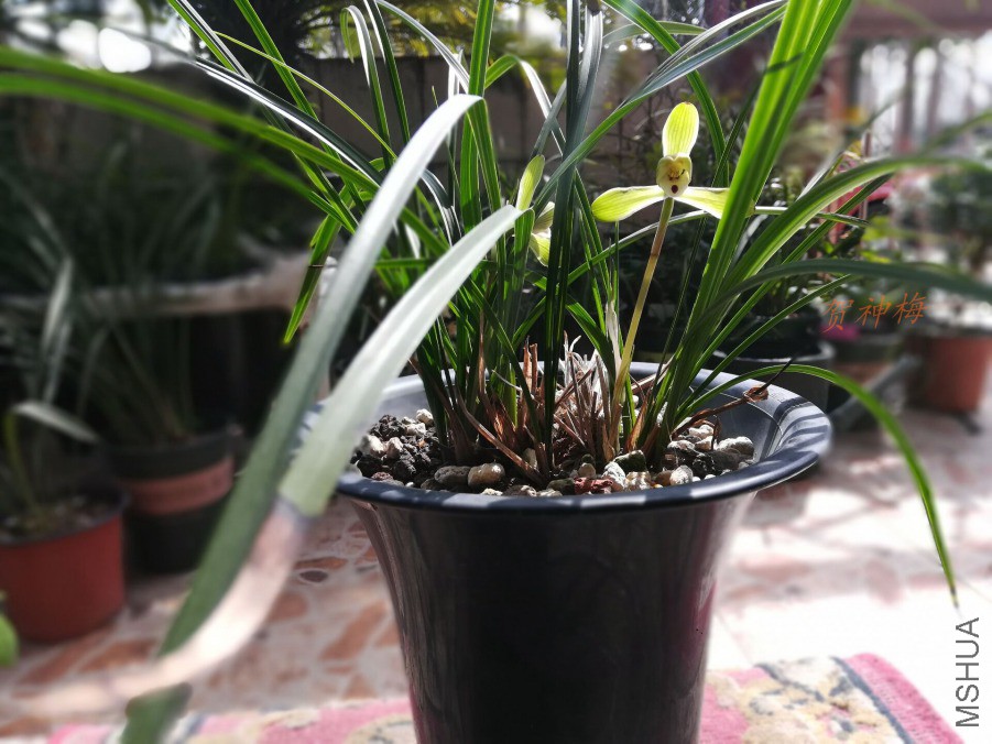 QQͼƬ20190321165742.jpg