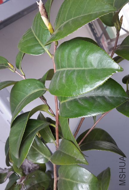 20190317_133227.jpg