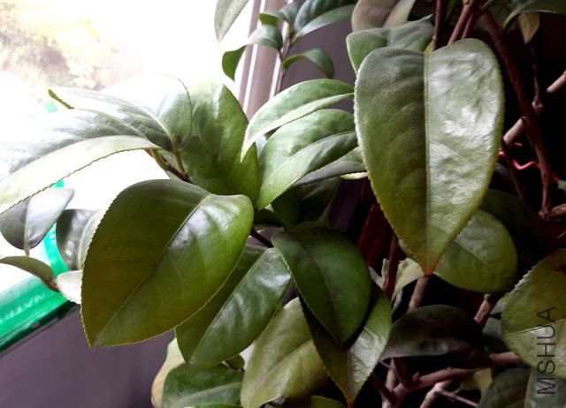 20190317_133220.jpg