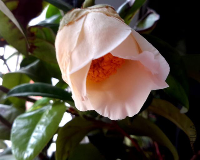 20190317_133202.jpg