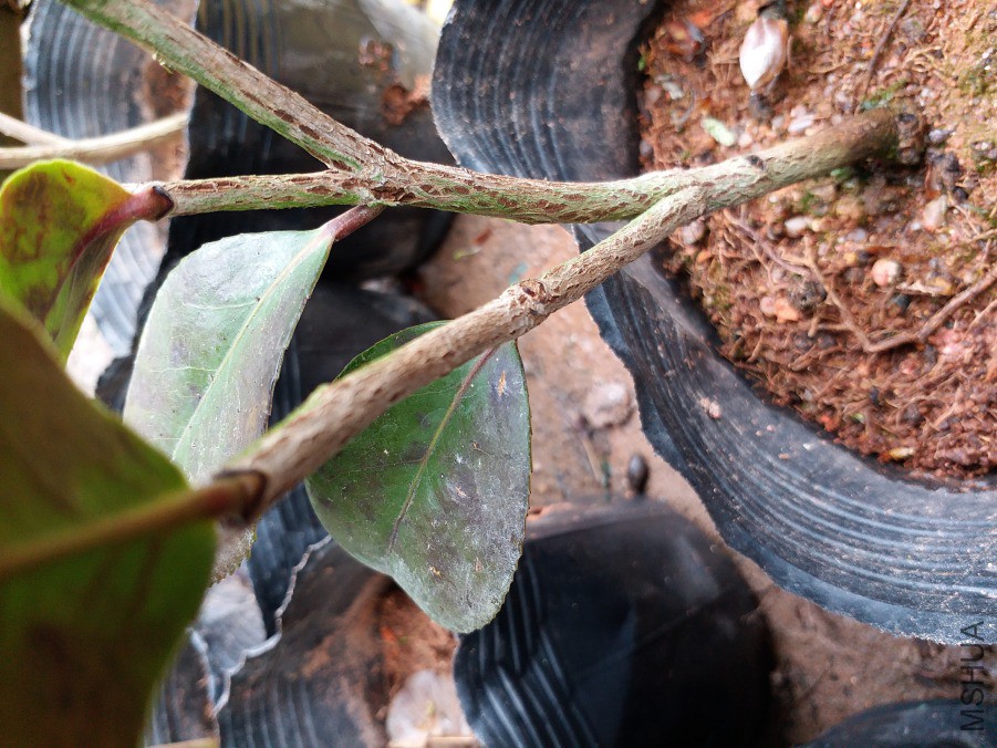 20190323_111815.jpg