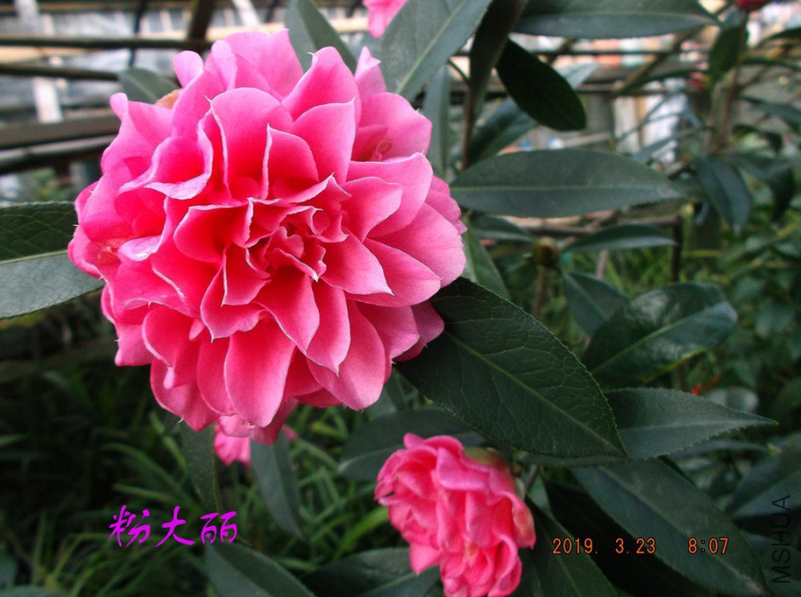 2019-3-23jx 009 ����w.jpg