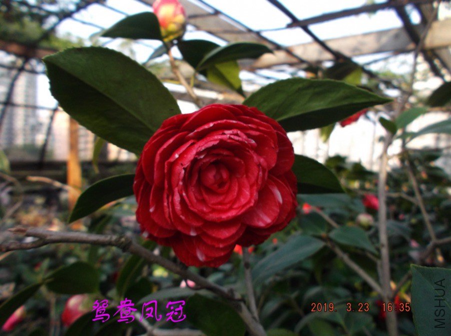 2019323 001 ����w.jpg
