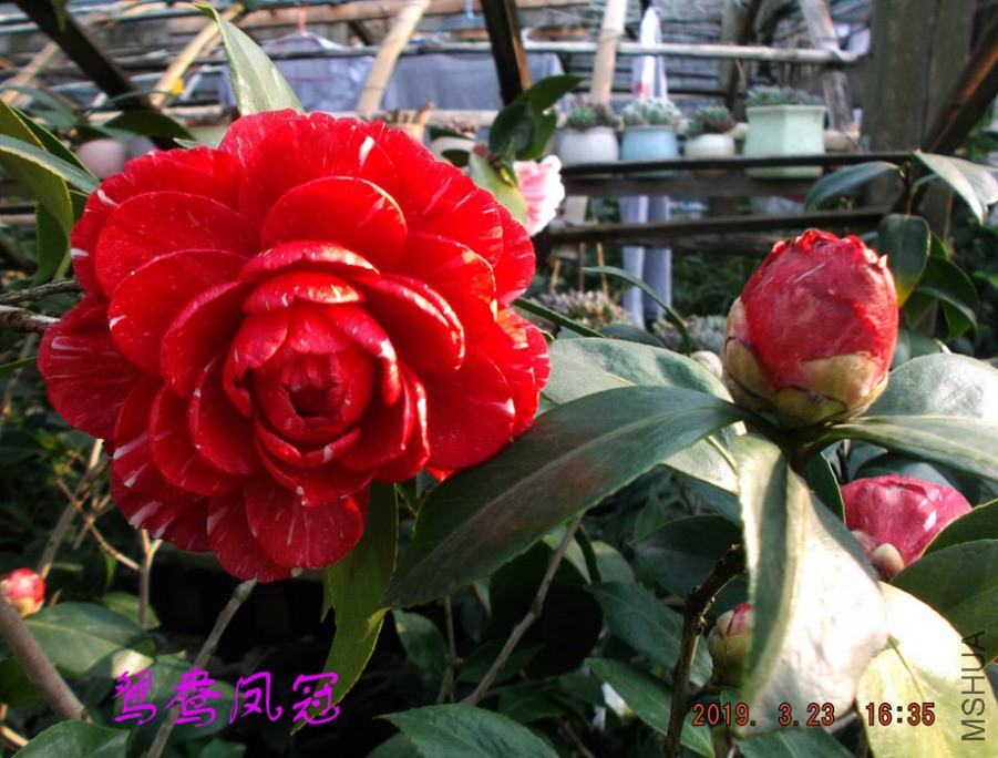 2019323 002 ����w.jpg