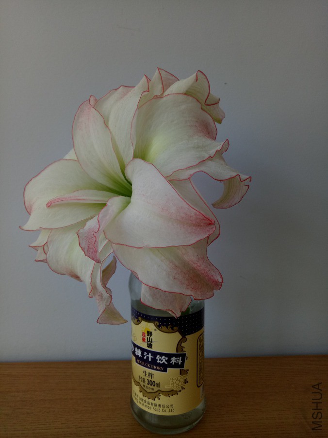 IMG20190323105630.jpg