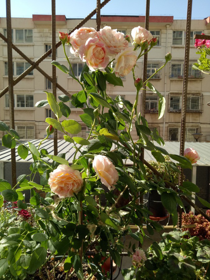 IMG20190323093313.jpg