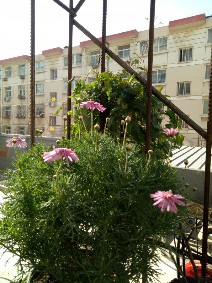 IMG20190323090306.jpg