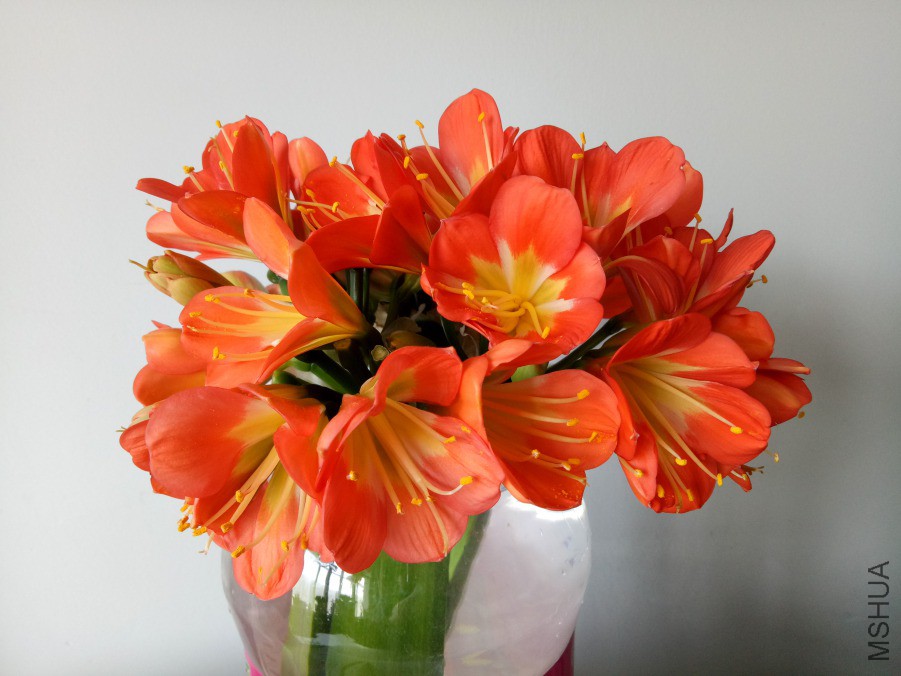 IMG20190322084038.jpg