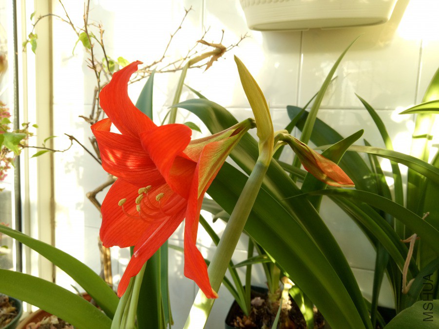 IMG20190322072430.jpg