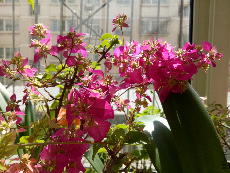 IMG20190321122149.jpg