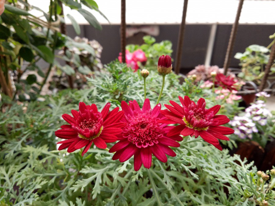 IMG20190320124212.jpg