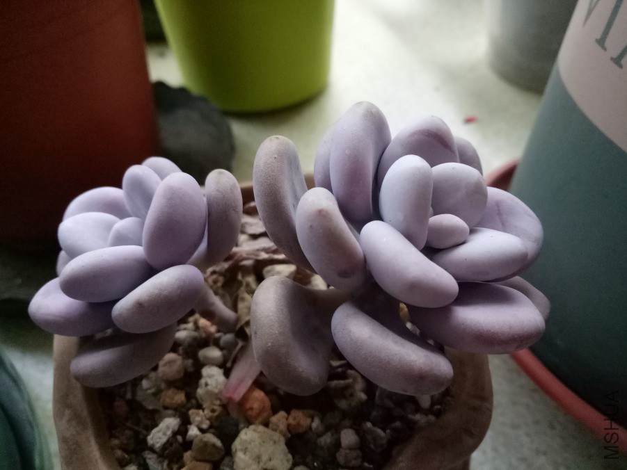 IMG20190321181408.jpg