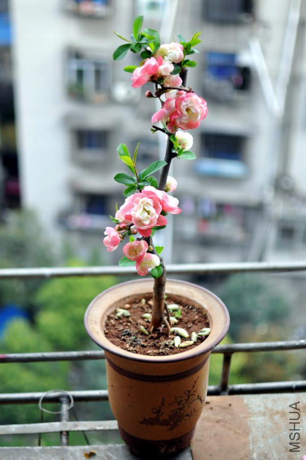 ��֮��- (19).JPG