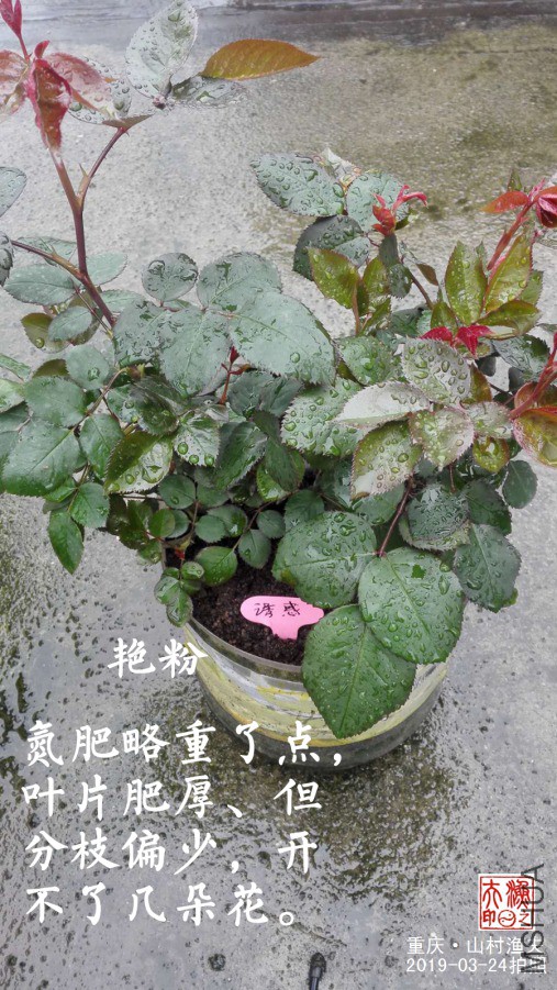 ΢��ͼƬ_20190324085352.jpg