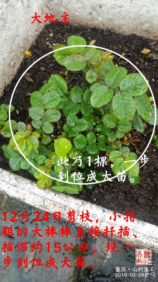 ΢��ͼƬ_20190324085359.jpg