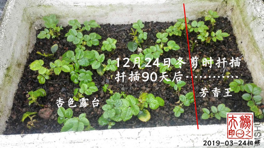 ΢��ͼƬ_20190324085406.jpg