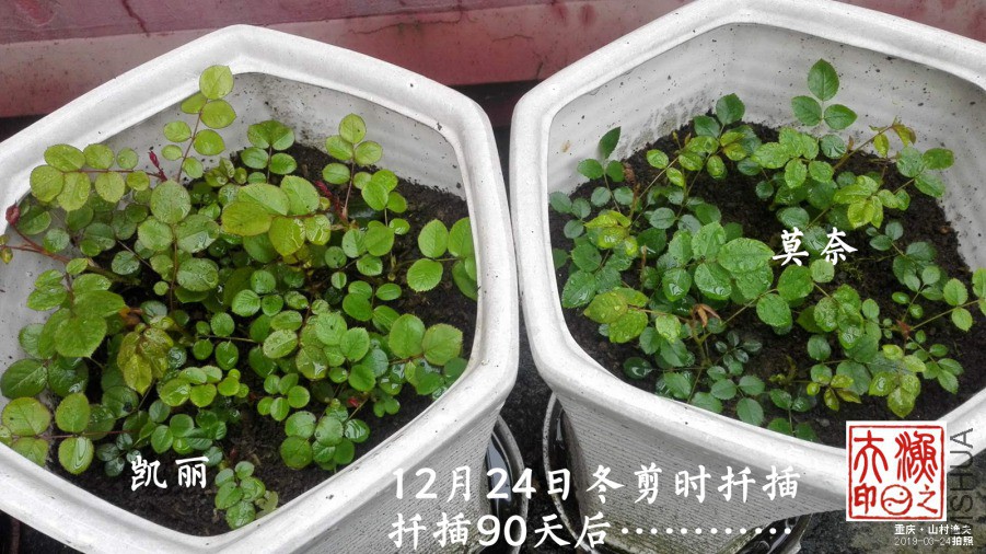 ΢��ͼƬ_20190324085413.jpg