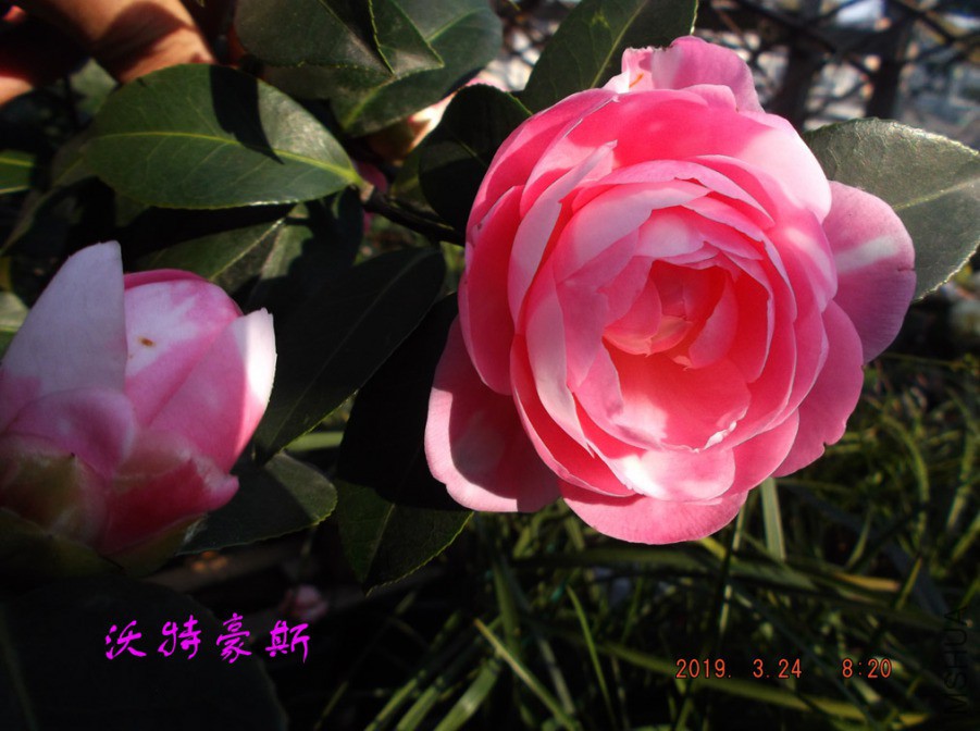 2019324jx 066 ����w.jpg