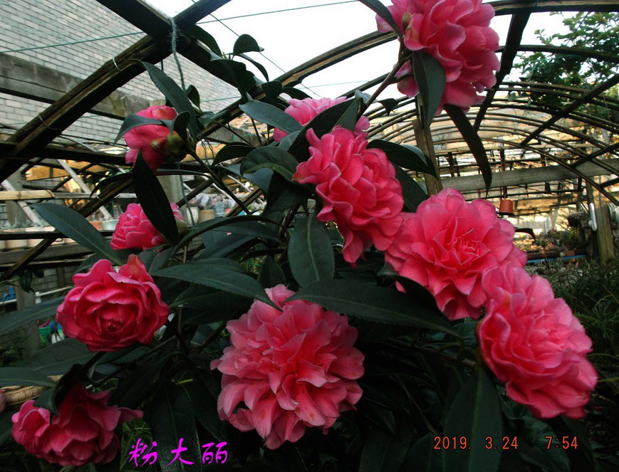 2019324jx 001 ����w.jpg