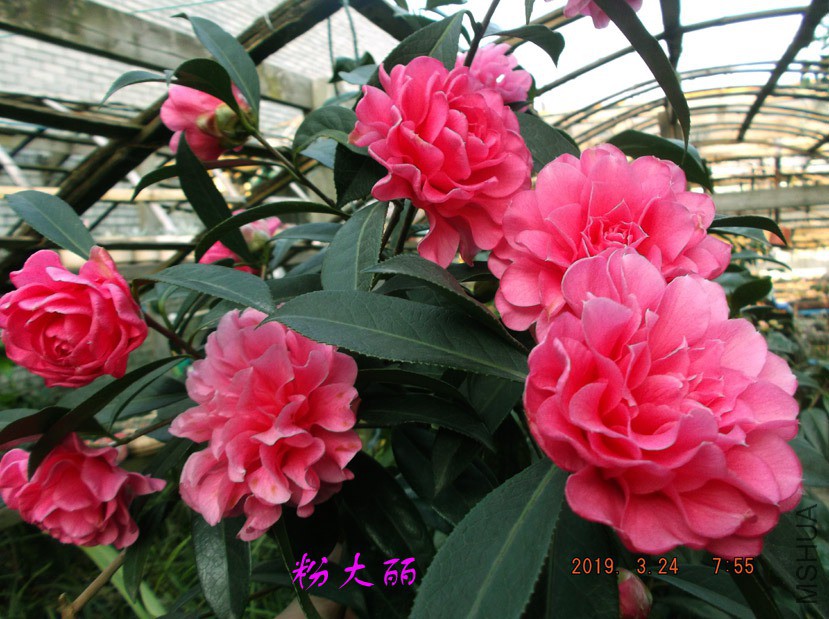 2019324jx 003 ����w.jpg