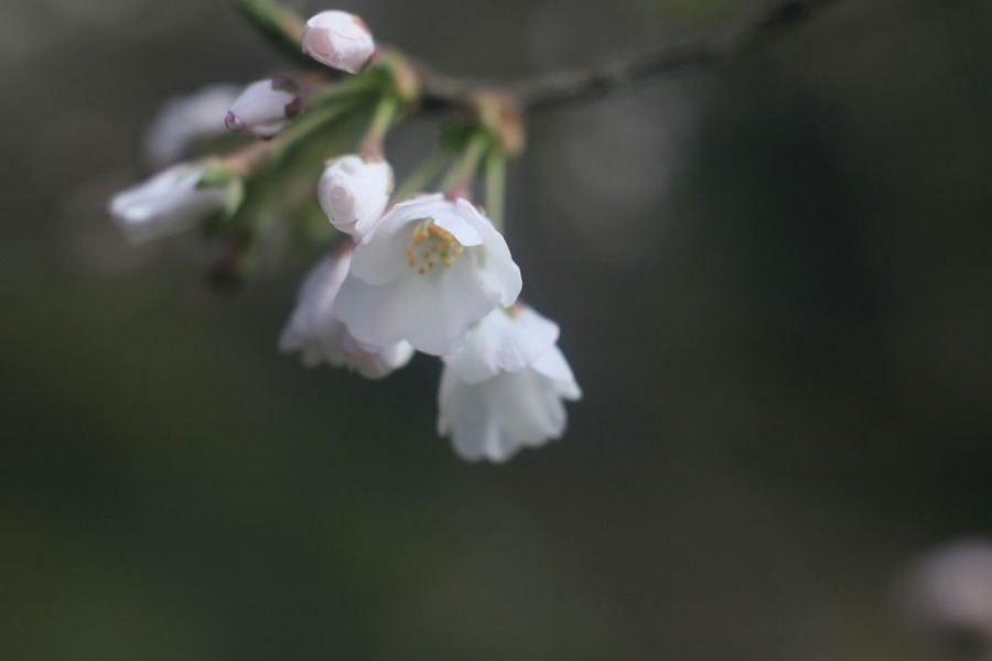 IMG_6499.JPG