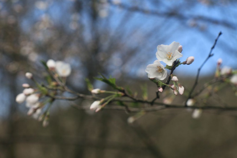IMG_6506.JPG
