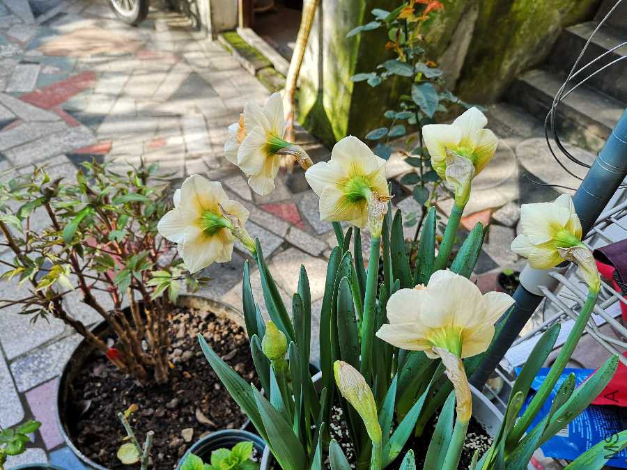 IMG_20190323_074905.jpg