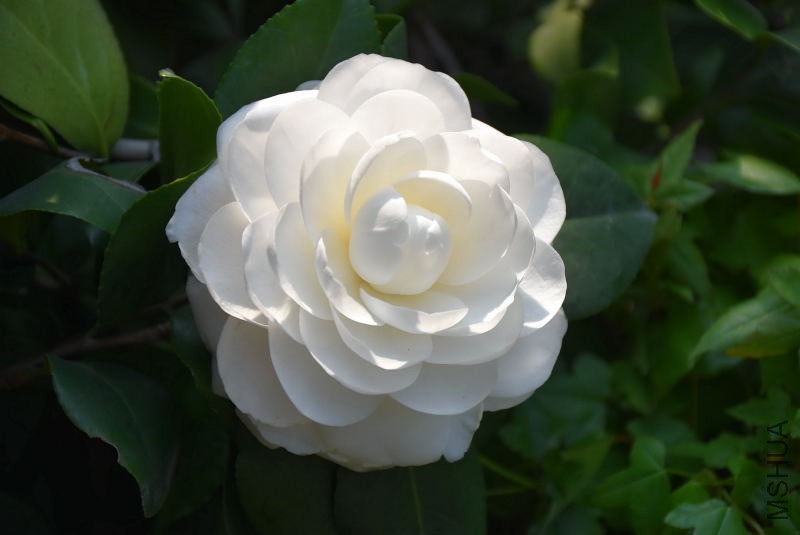 DSC_00440044.JPG