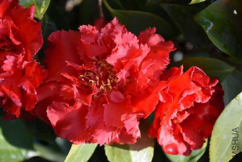 DSC_02650265.JPG