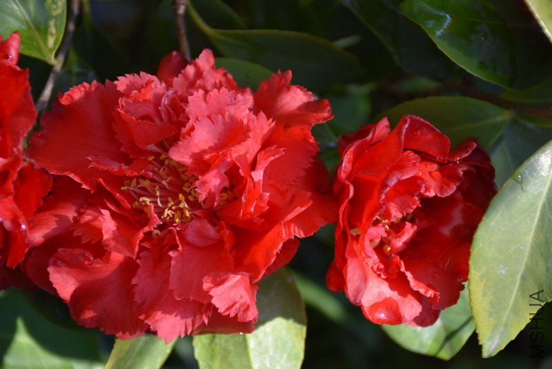 DSC_02640264.JPG