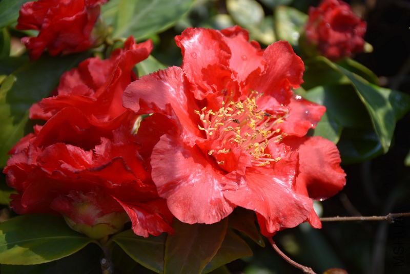 DSC_02560256.JPG
