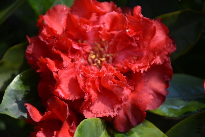 DSC_02860286.JPG