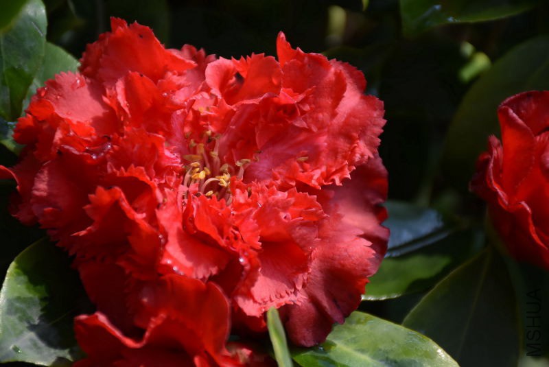 DSC_02880288.JPG
