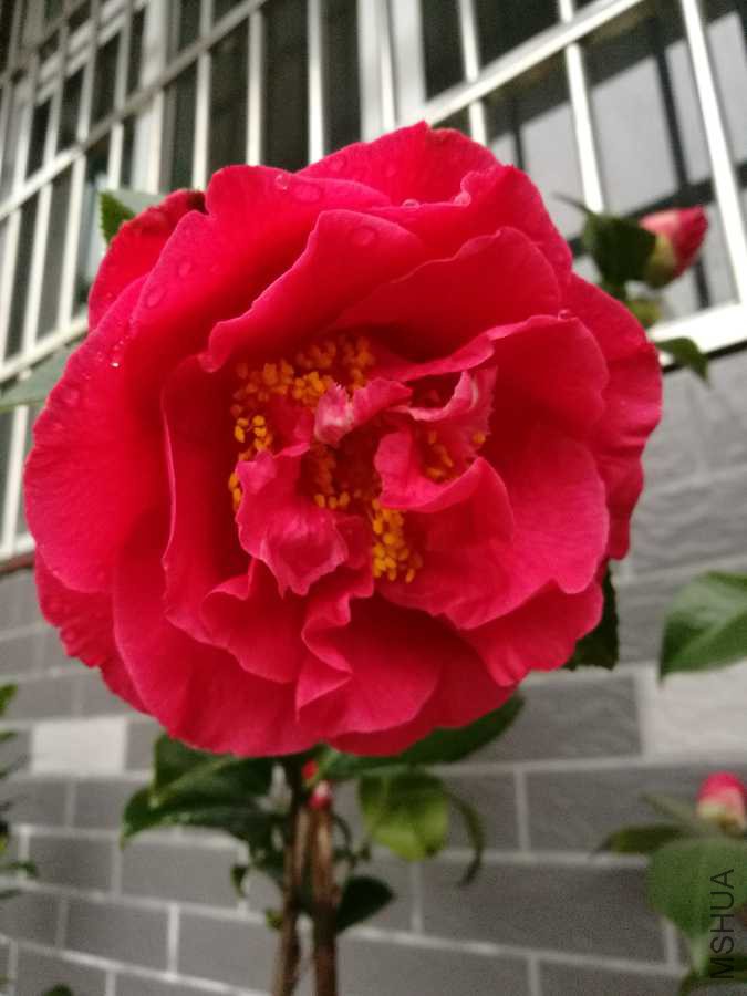 IMG_20190321_162326.jpg