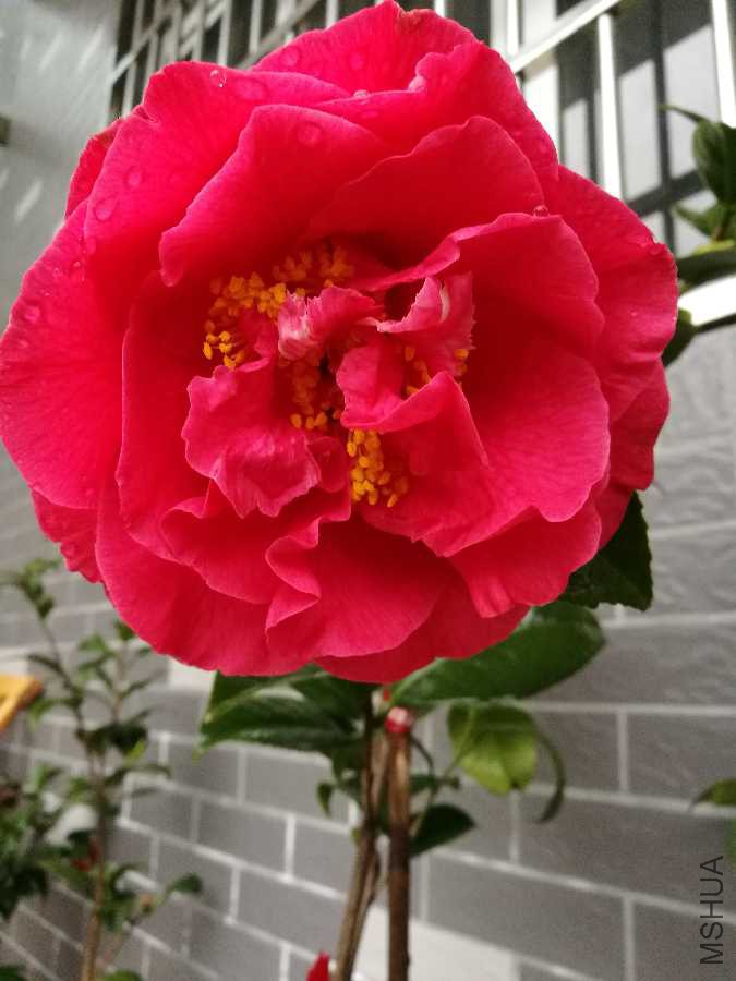 IMG_20190321_162309.jpg