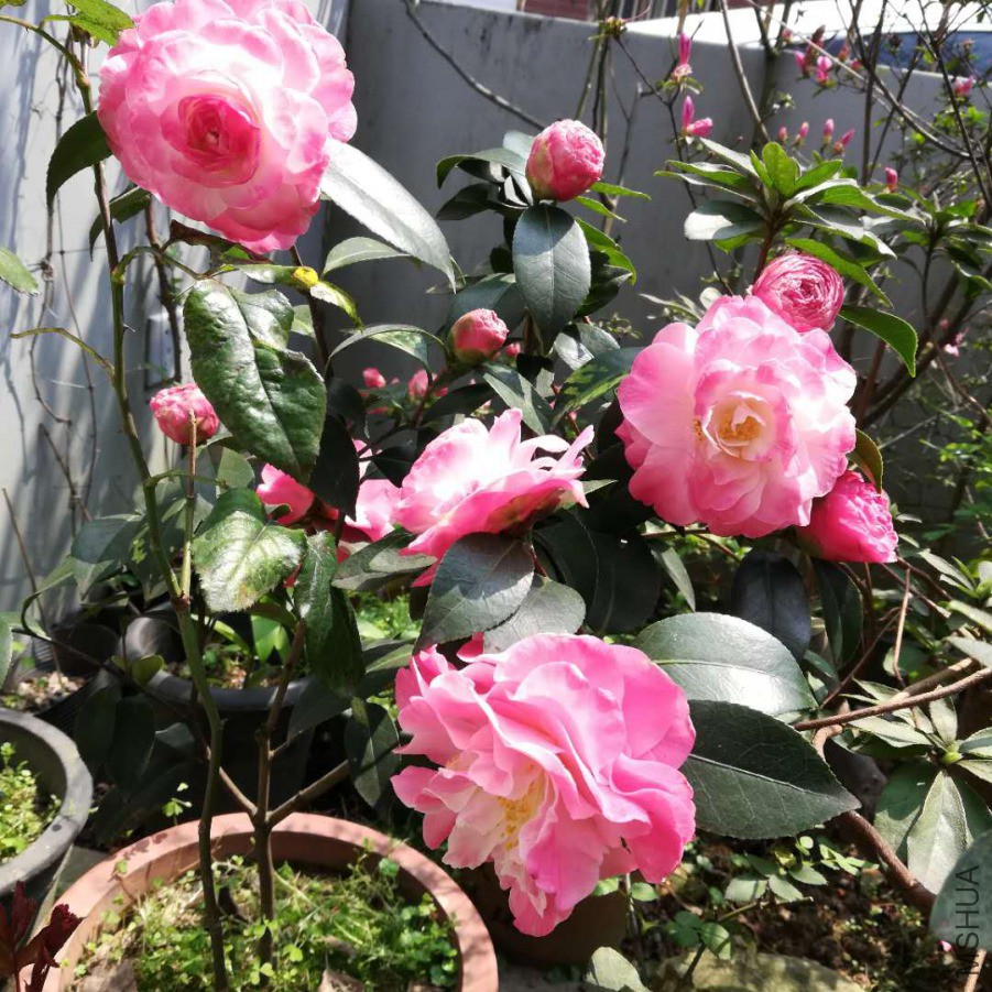 ΢��ͼƬ_20190325082617.jpg