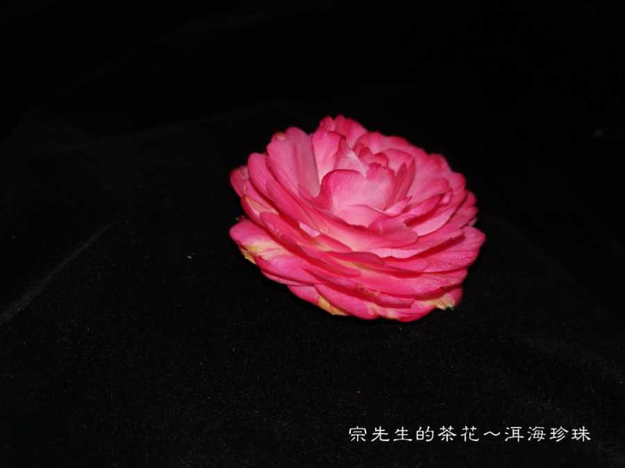 a1553475889962.jpg