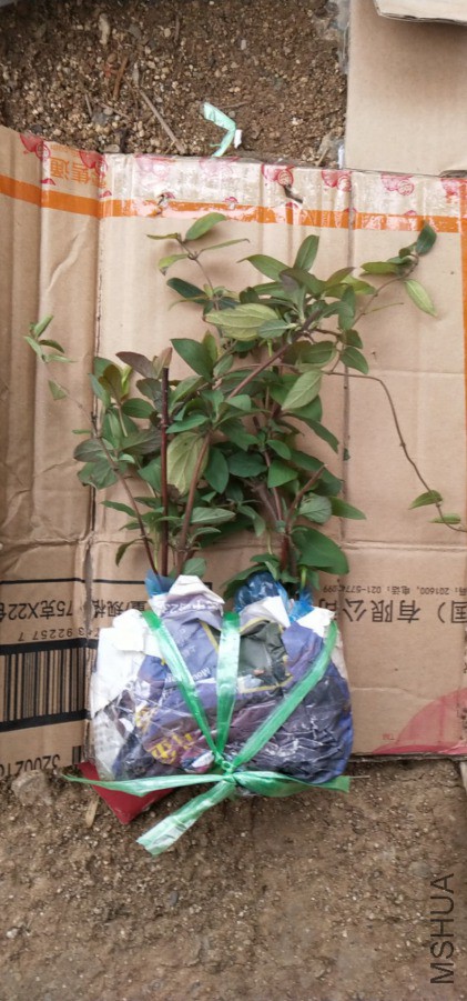 ���յ��ĺ������2��