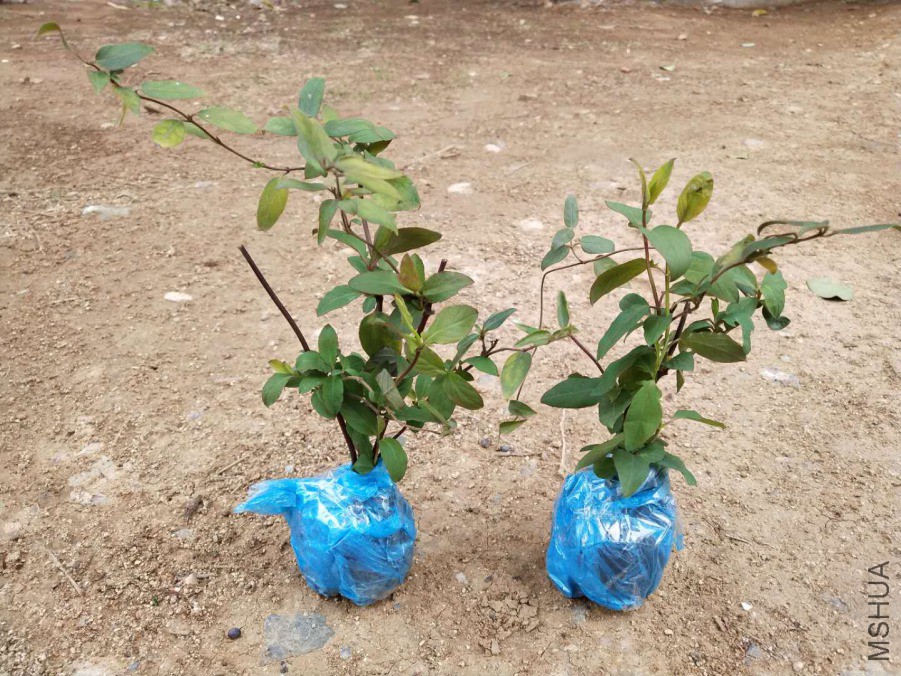 �������2��