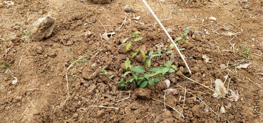 �������1