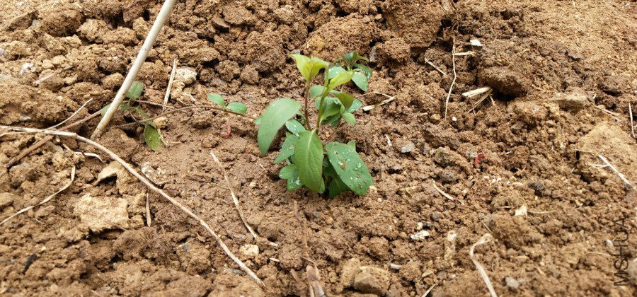 �������2